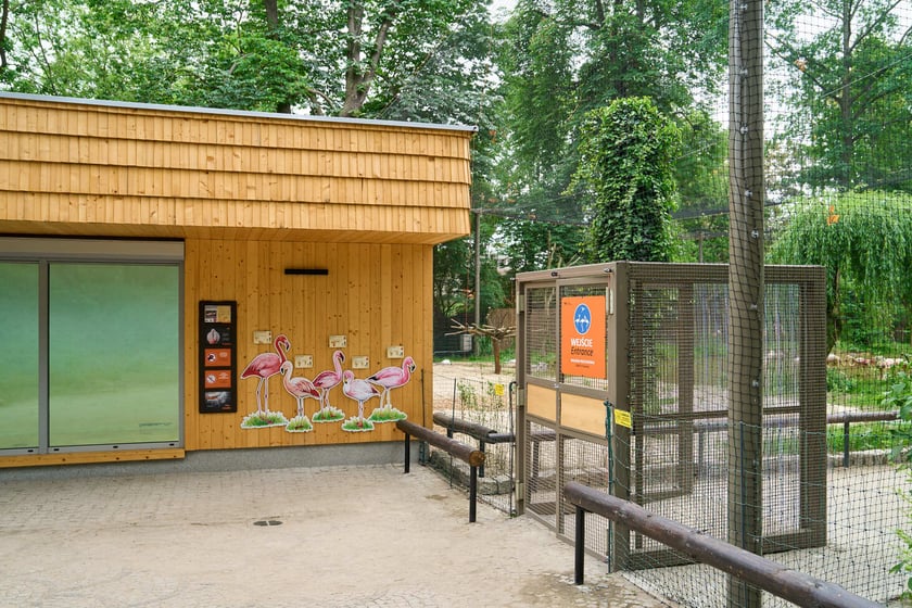 Nowy dom flamingów
