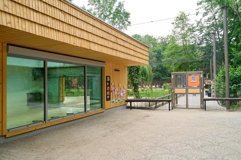 Nowy dom flamingów