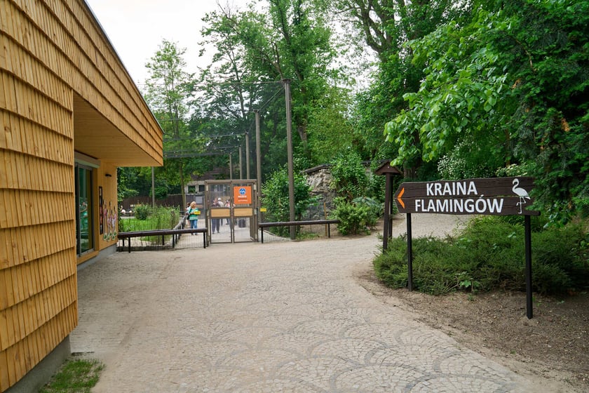 Nowy dom flamingów