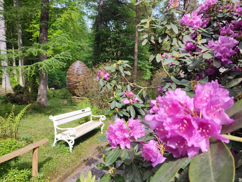 Adres:
Arboretum w Lądku-Zdroju
ul. Moniuszki, 57-540 Lądek-Zdr&oacute;j
Godziny otwarcia:
czynne codziennie: 10.00 &ndash; 18.00 za wyjątkiem poniedziałk&oacute;w.
Kontakt: tel. 727 273&nbsp;080
arborladek(at)gmail.com
&nbsp;
&nbsp;