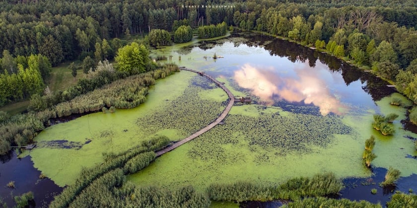 Adres:
Aroboretum Leśne 
ul. Leśna 6, Stradomia Dolna
56-504 Dziadowa Kłoda
Godziny otwarcia:
Arboretum jest czynne sezonowo:

od 2 kwietnia do 31 października
poniedziałek - niedziela i święta w godz. 9:00-17:00

