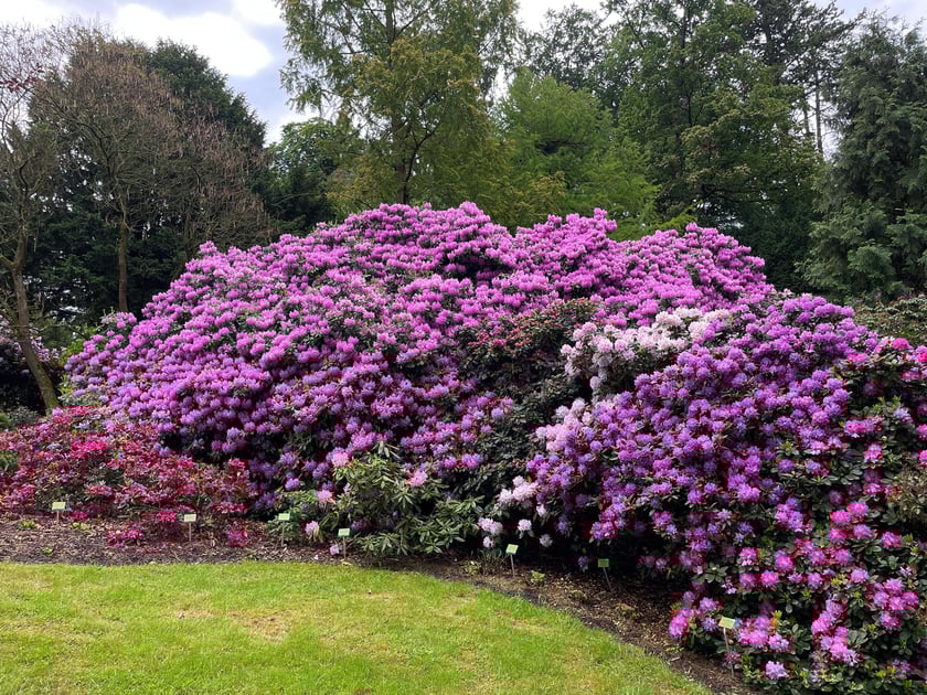 Adres:
Arboretum Wojsławice
Wojsławice 2, 58-230 Niemcza
Godziny otwarcia:
Codziennie: 9.00 - 18.00 (zwiedzanie do godz. 20.00)