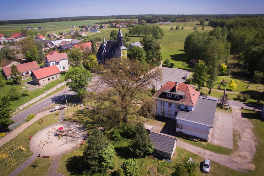 Dąb Centawiański - widok z g&oacute;ry.