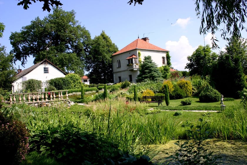 Dąb Dworski w Skrzyszowie. W czasie grabieży w 1917 roku dw&oacute;r mieszkalny został zburzony, a otaczający go park wycięty. Oszczędzony został tylko dąb ze względu na poskręcane konary, kt&oacute;re nie nadawały się do przer&oacute;bki.
&nbsp;