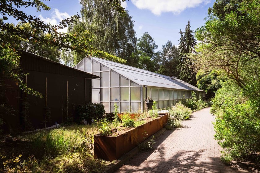 Ogród Botaniczny Roślin Leczniczych Uniwersytetu Medycznego