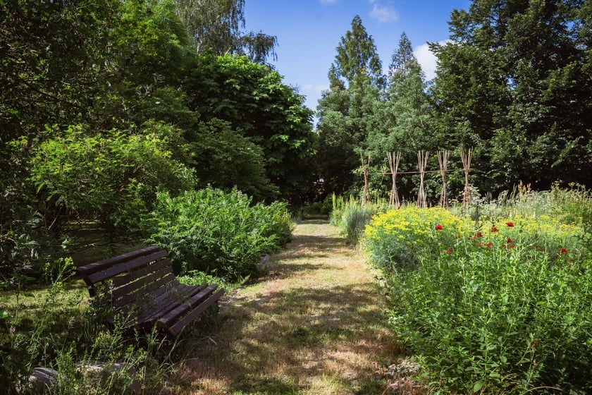 Ogród Botaniczny Roślin Leczniczych Uniwersytetu Medycznego