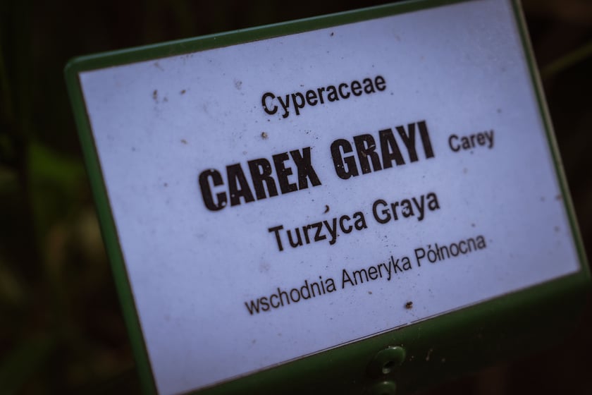 Ogród Botaniczny Roślin Leczniczych Uniwersytetu Medycznego