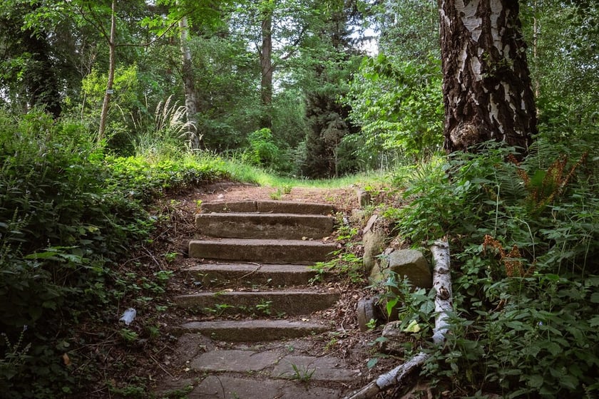 Ogród Botaniczny Roślin Leczniczych Uniwersytetu Medycznego