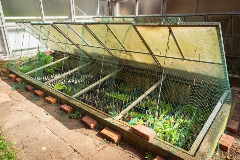 Ogród Botaniczny Roślin Leczniczych Uniwersytetu Medycznego