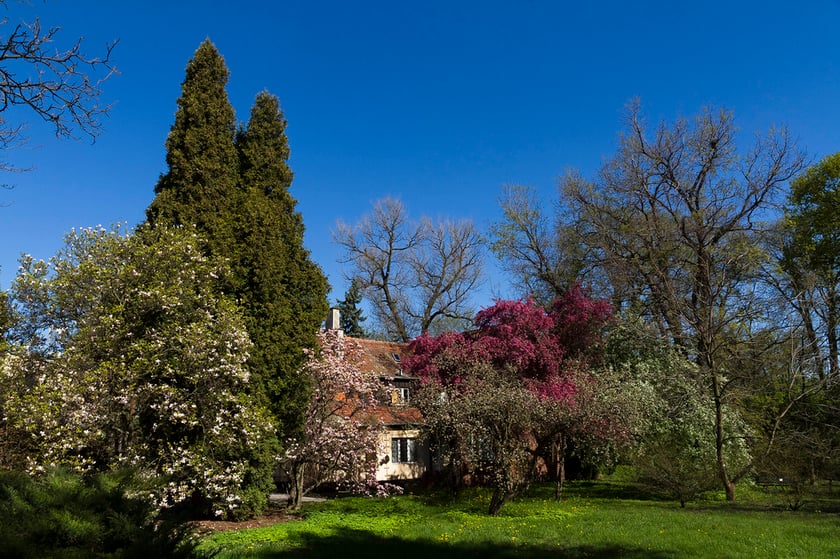 Ogród Botaniczny Roślin Leczniczych Uniwersytetu Medycznego