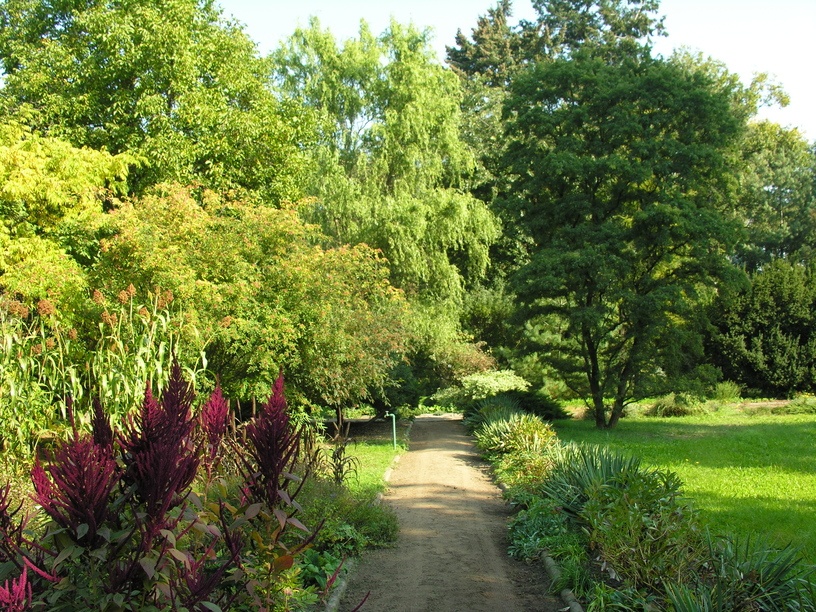 Ogr&oacute;d Botaniczny Roślin Leczniczych Uniwersytetu Medycznego