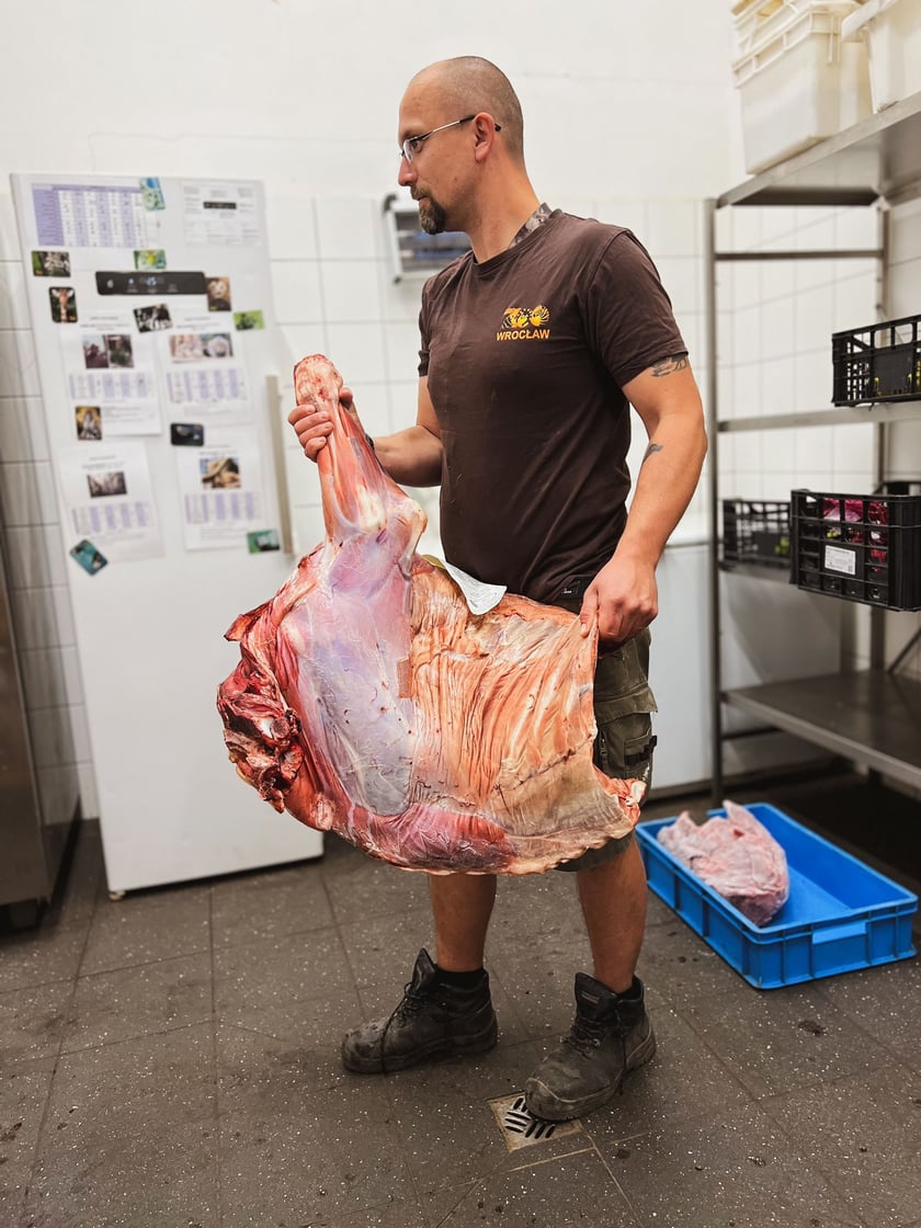 Praca opiekuna ssaków drapieżnych nie należy do lekkich, ale daje dużo satysfakcji