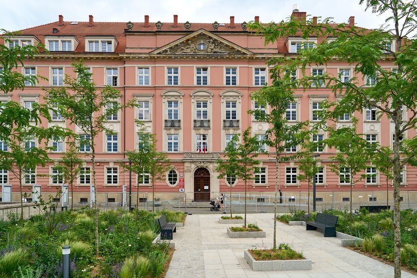 Plac Nowy Targ coraz bardziej zielony. Zdjęcia po zielonej rewolucji - czerwiec 2024 r.