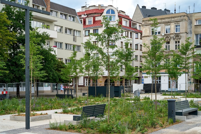 Plac Nowy Targ coraz bardziej zielony. Zdjęcia po zielonej rewolucji - czerwiec 2024 r.
