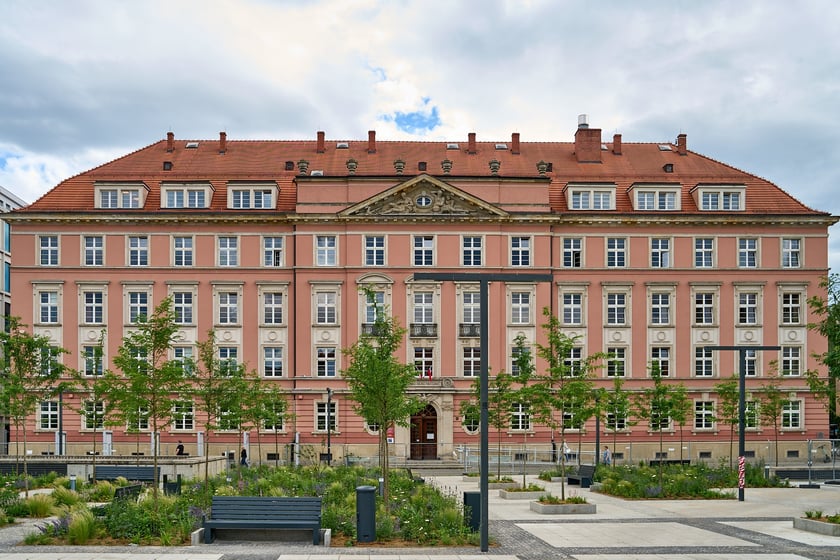Plac Nowy Targ coraz bardziej zielony. Zdjęcia po zielonej rewolucji - czerwiec 2024 r.