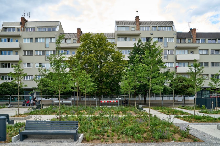 Plac Nowy Targ coraz bardziej zielony. Zdjęcia po zielonej rewolucji - czerwiec 2024 r.