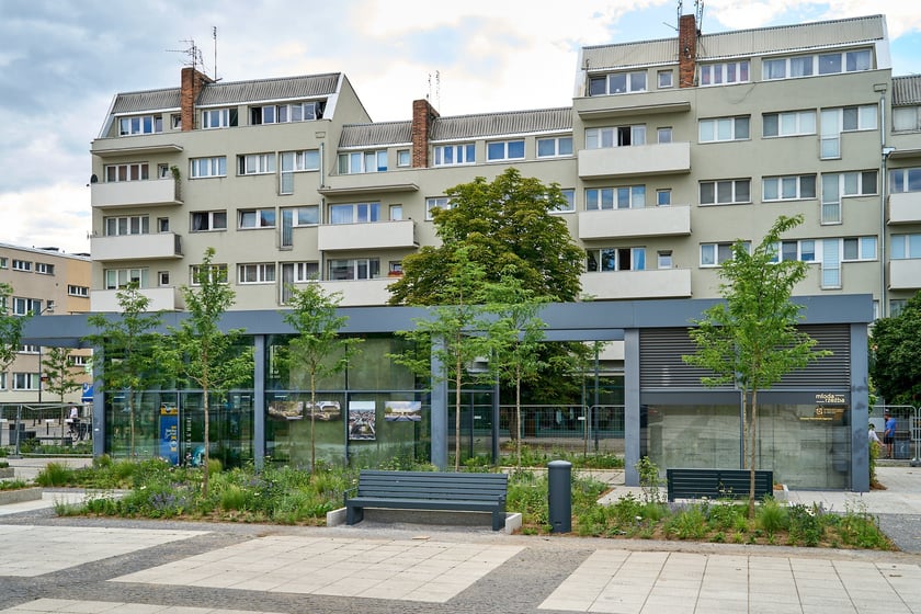 Plac Nowy Targ coraz bardziej zielony. Zdjęcia po zielonej rewolucji - czerwiec 2024 r.