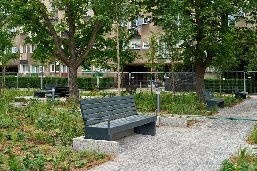 Plac Nowy Targ coraz bardziej zielony. Zdjęcia po zielonej rewolucji - czerwiec 2024 r.