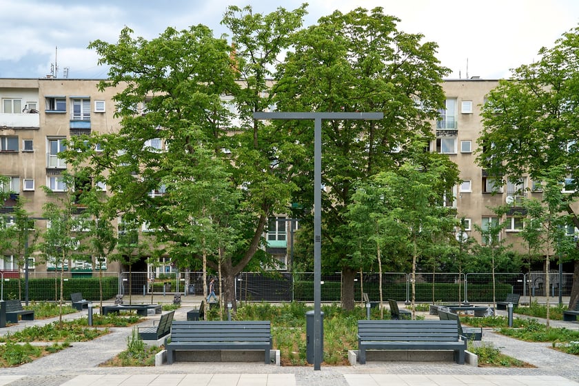 Plac Nowy Targ coraz bardziej zielony. Zdjęcia po zielonej rewolucji - czerwiec 2024 r.