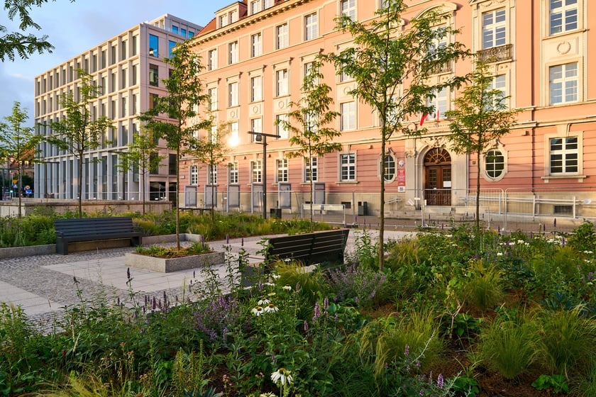 Zielony plac Nowy Targ o wschodzie słońca