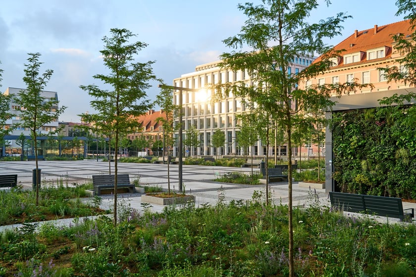 Zielony plac Nowy Targ o wschodzie słońca