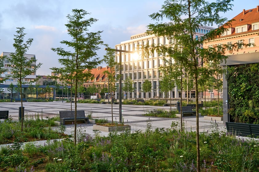 Zielony plac Nowy Targ o wschodzie słońca