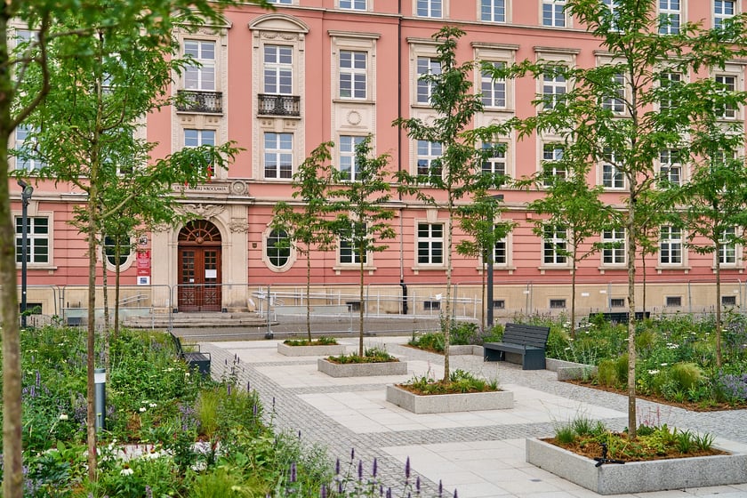 Zielony plac Nowy Targ o wschodzie słońca