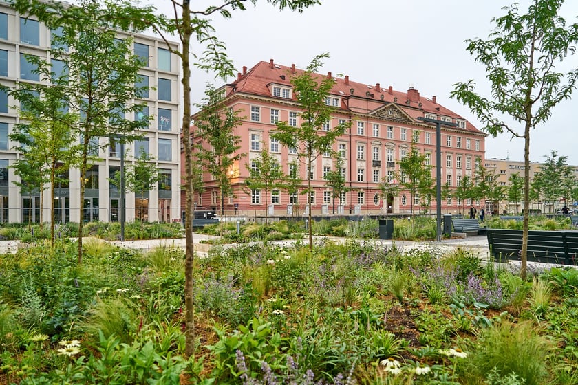 Zielony plac Nowy Targ o wschodzie słońca