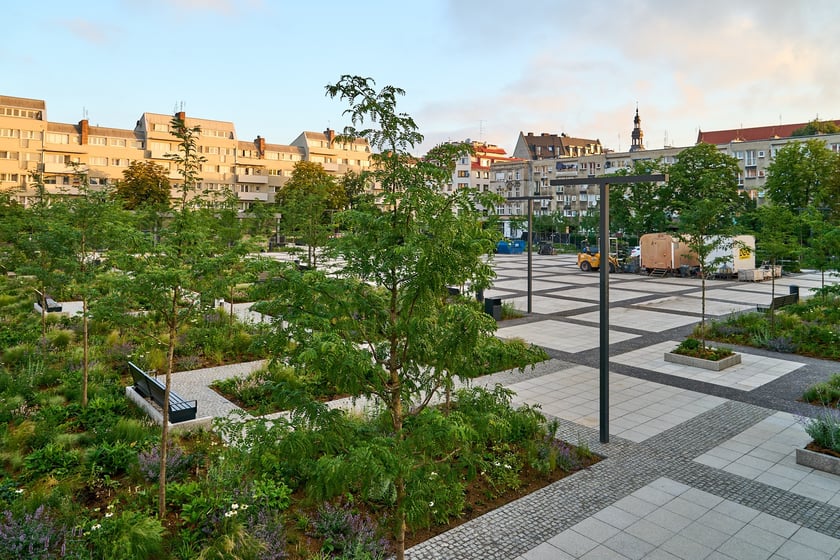 Zielony plac Nowy Targ o wschodzie słońca