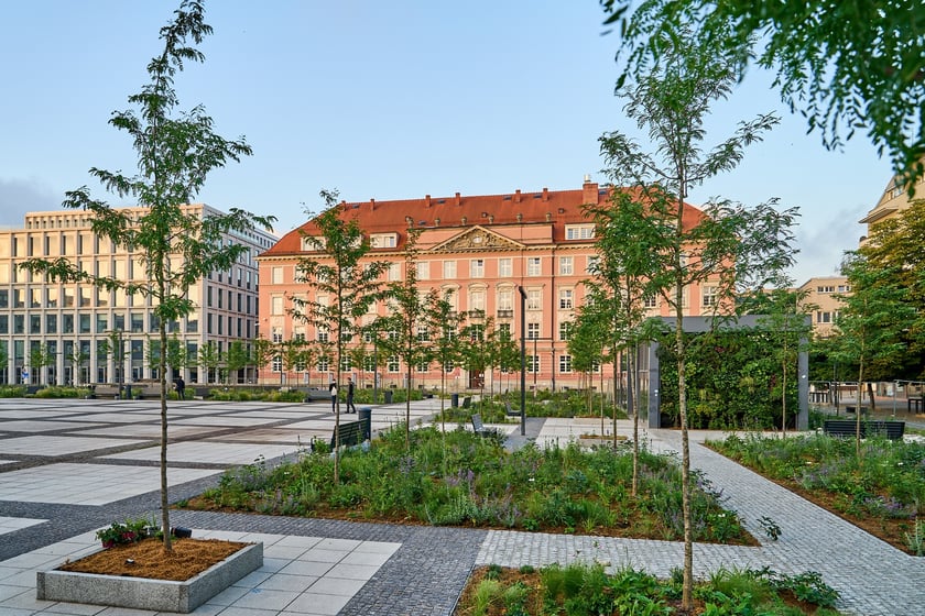 Zielony plac Nowy Targ o wschodzie słońca