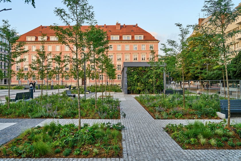 Zielony plac Nowy Targ o wschodzie słońca