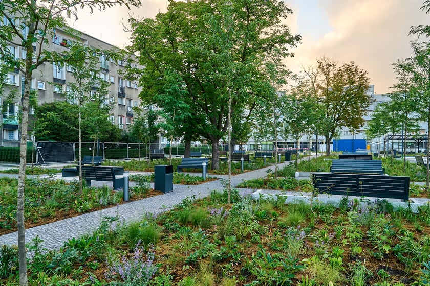 Zielony plac Nowy Targ o wschodzie słońca