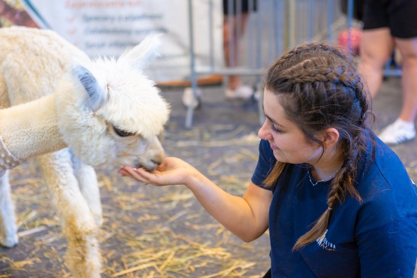 Dolnośląskie Targi Zoologiczne na Tarczyński Arenie