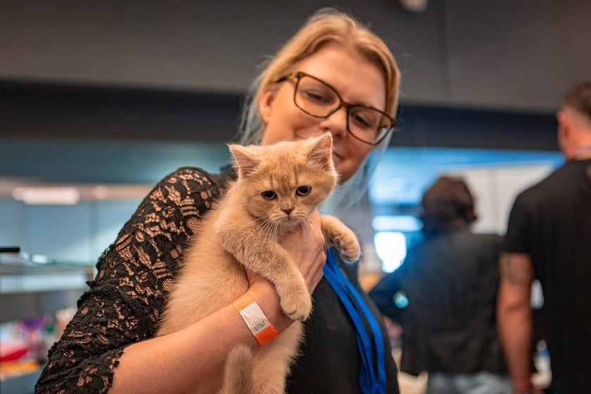 Dolnośląskie Targi Zoologiczne na Tarczyński Arenie