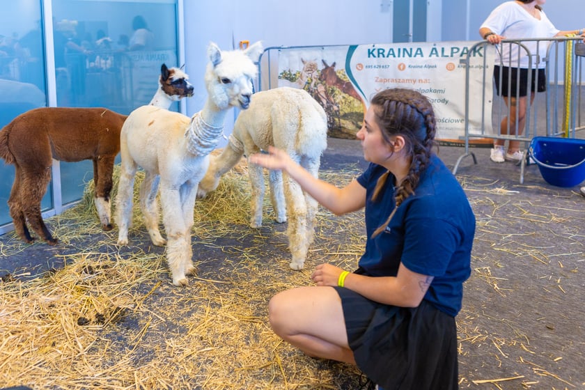 Dolnośląskie Targi Zoologiczne na Tarczyński Arenie
