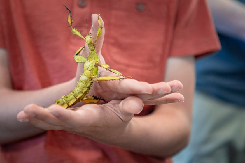 Dolnośląskie Targi Zoologiczne na Tarczyński Arenie