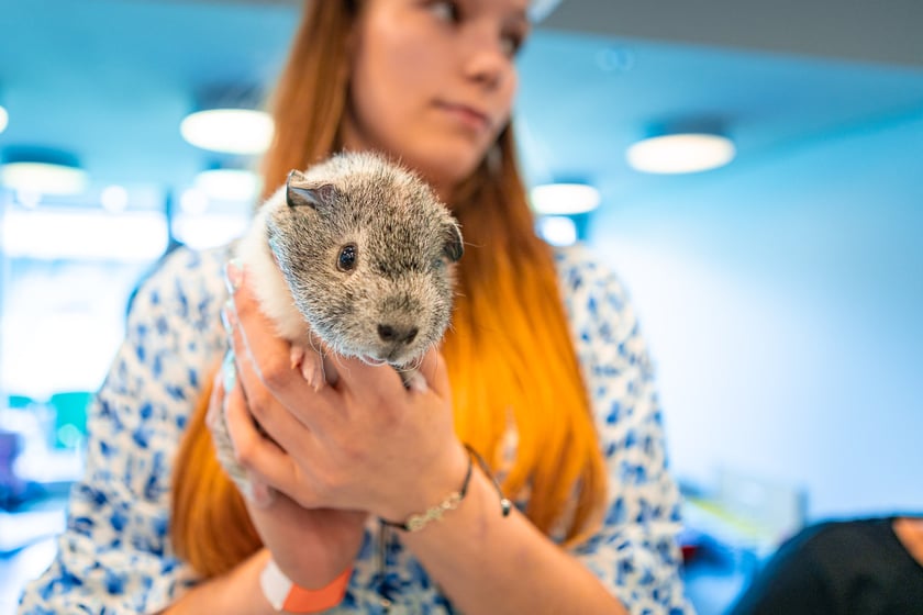 Dolnośląskie Targi Zoologiczne na Tarczyński Arenie