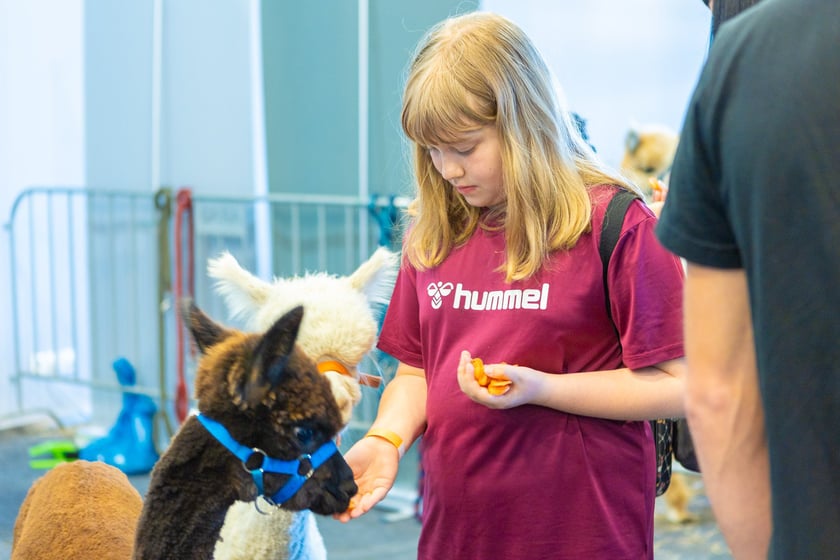 Dolnośląskie Targi Zoologiczne na Tarczyński Arenie