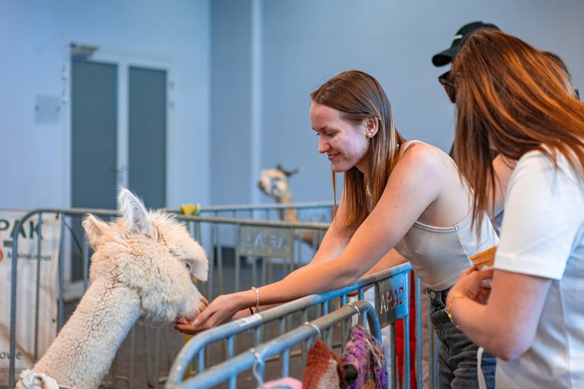 Dolnośląskie Targi Zoologiczne na Tarczyński Arenie