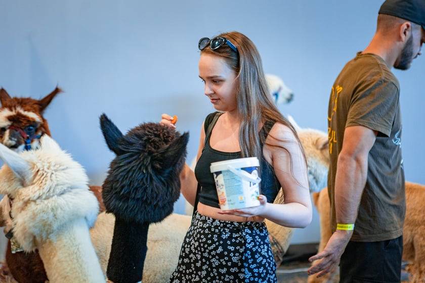 Dolnośląskie Targi Zoologiczne na Tarczyński Arenie
