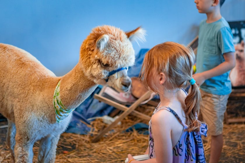 Dolnośląskie Targi Zoologiczne na Tarczyński Arenie