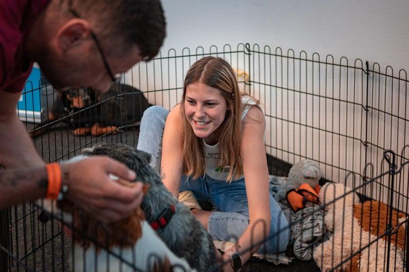 Dolnośląskie Targi Zoologiczne na Tarczyński Arenie
