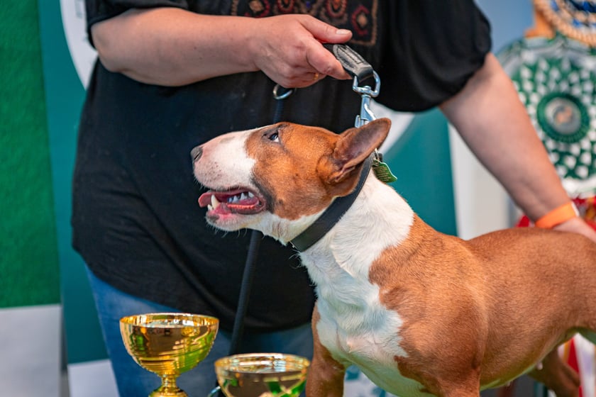 Dolnośląskie Targi Zoologiczne na Tarczyński Arenie
