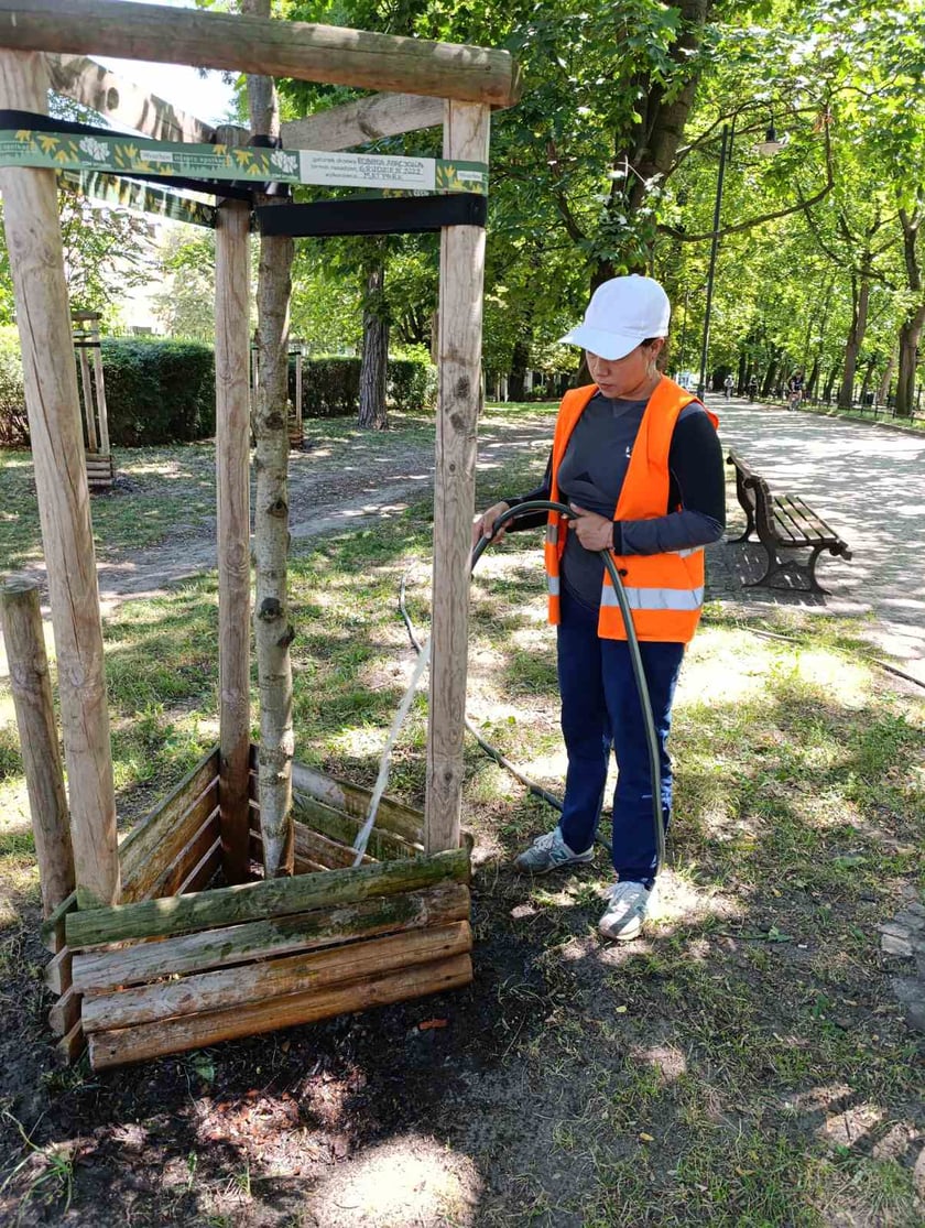 Podlewanie roślin w mieście