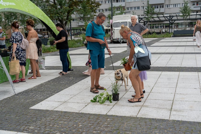 Na otwarciu placu Nowy Targ Zarząd Zieleni Miejskiej rozdawał sadzonki, Ekosystem nawóz zrobiony z naszych bioodpadów, a MPWiK częstowało zdrową karanówką okraszoną owocami.
