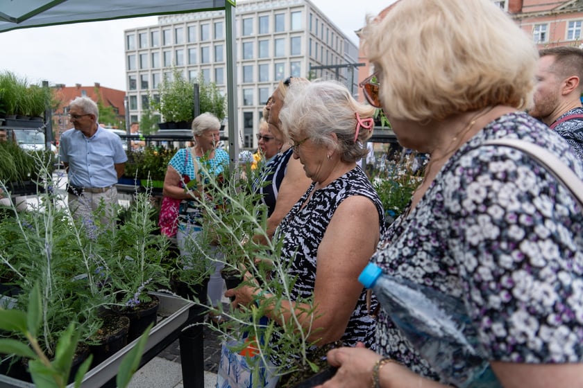 Na otwarciu placu Nowy Targ Zarząd Zieleni Miejskiej rozdawał sadzonki, Ekosystem nawóz zrobiony z naszych bioodpadów, a MPWiK częstowało zdrową karanówką okraszoną owocami.