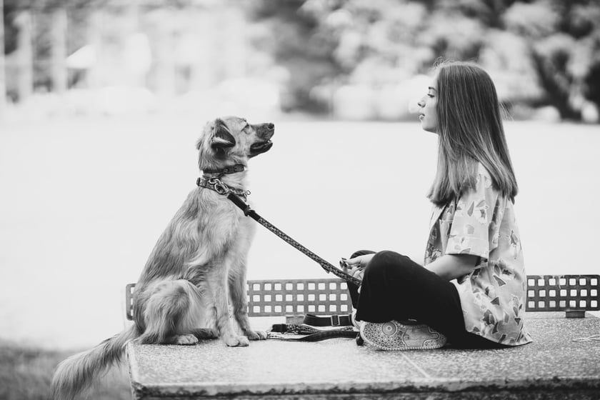 2. Jassie
Suczka, kt&oacute;ra całe swoje życie tkwiła wraz z drugim psem na pijackiej melinie. Nie znała trawy, ani innych zwierząt, nigdy nie była na dworze. Proces socjalizacji w jej przypadku był trudny, jednak nowa opiekunka, Ola, podjęła się tego wyzwania i mimo młodego wieku poradziła sobie z nim świetnie!&nbsp;