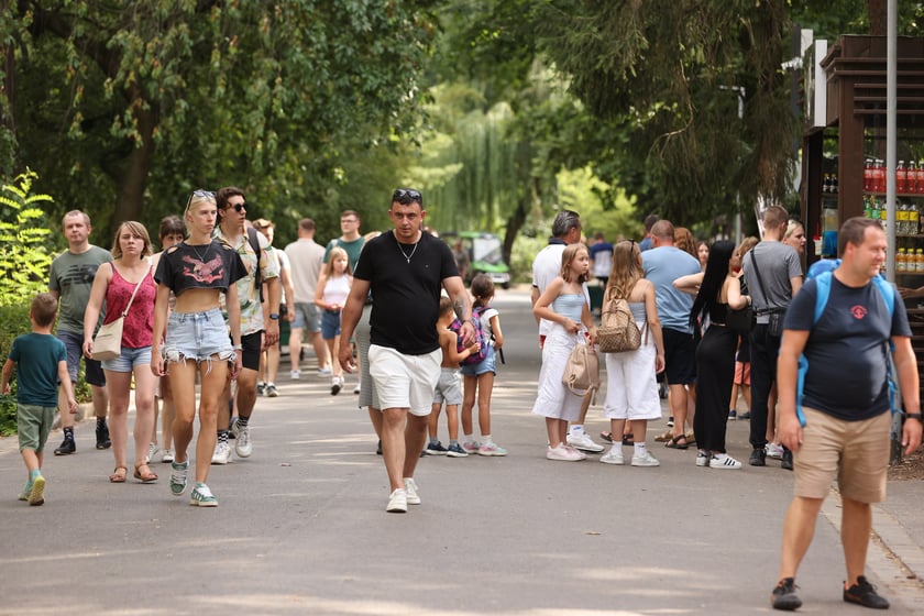Wrocławskie ZOO. 27 lipca 2024 roku