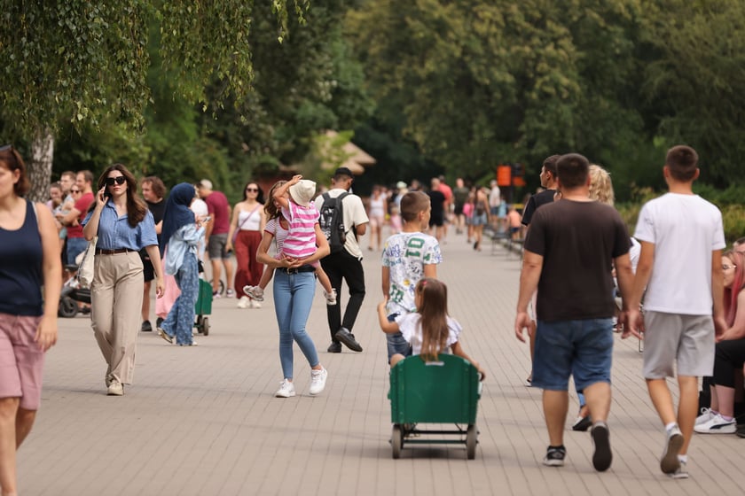 Wrocławskie ZOO. 27 lipca 2024 roku