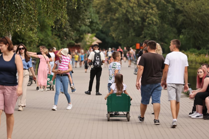 Wrocławskie ZOO. 27 lipca 2024 roku
